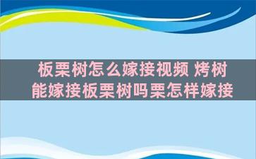 板栗树怎么嫁接视频 烤树能嫁接板栗树吗栗怎样嫁接